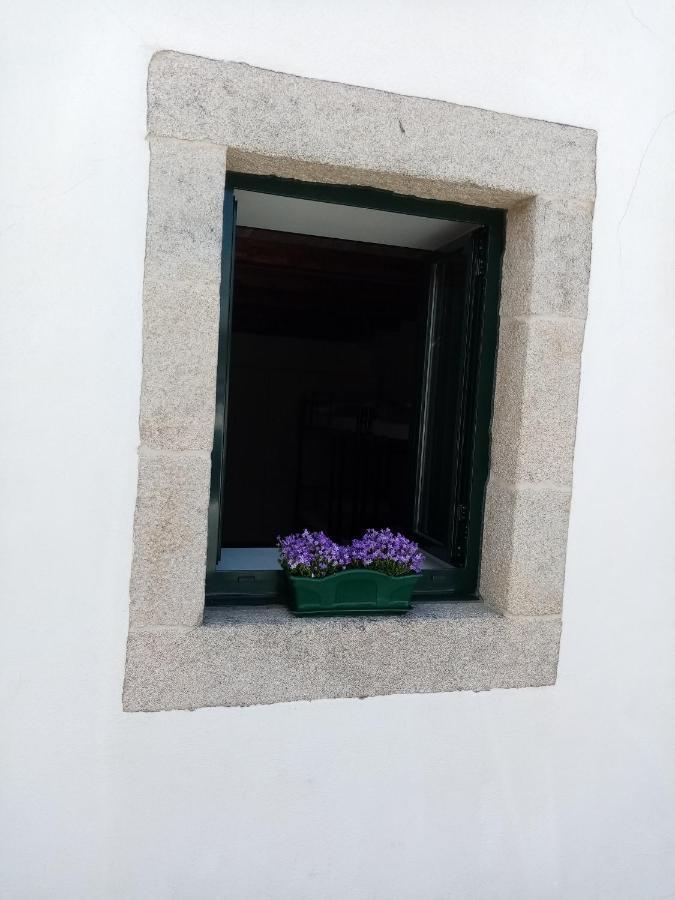 Albergue Oasis サリア エクステリア 写真